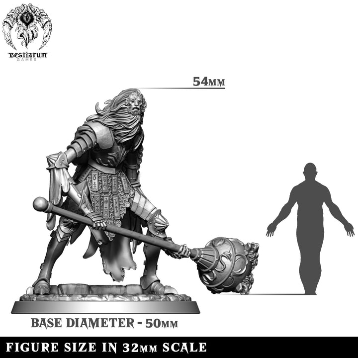 Lion Mask Knight | House Lionheart