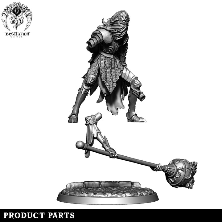 Lion Mask Knight | House Lionheart