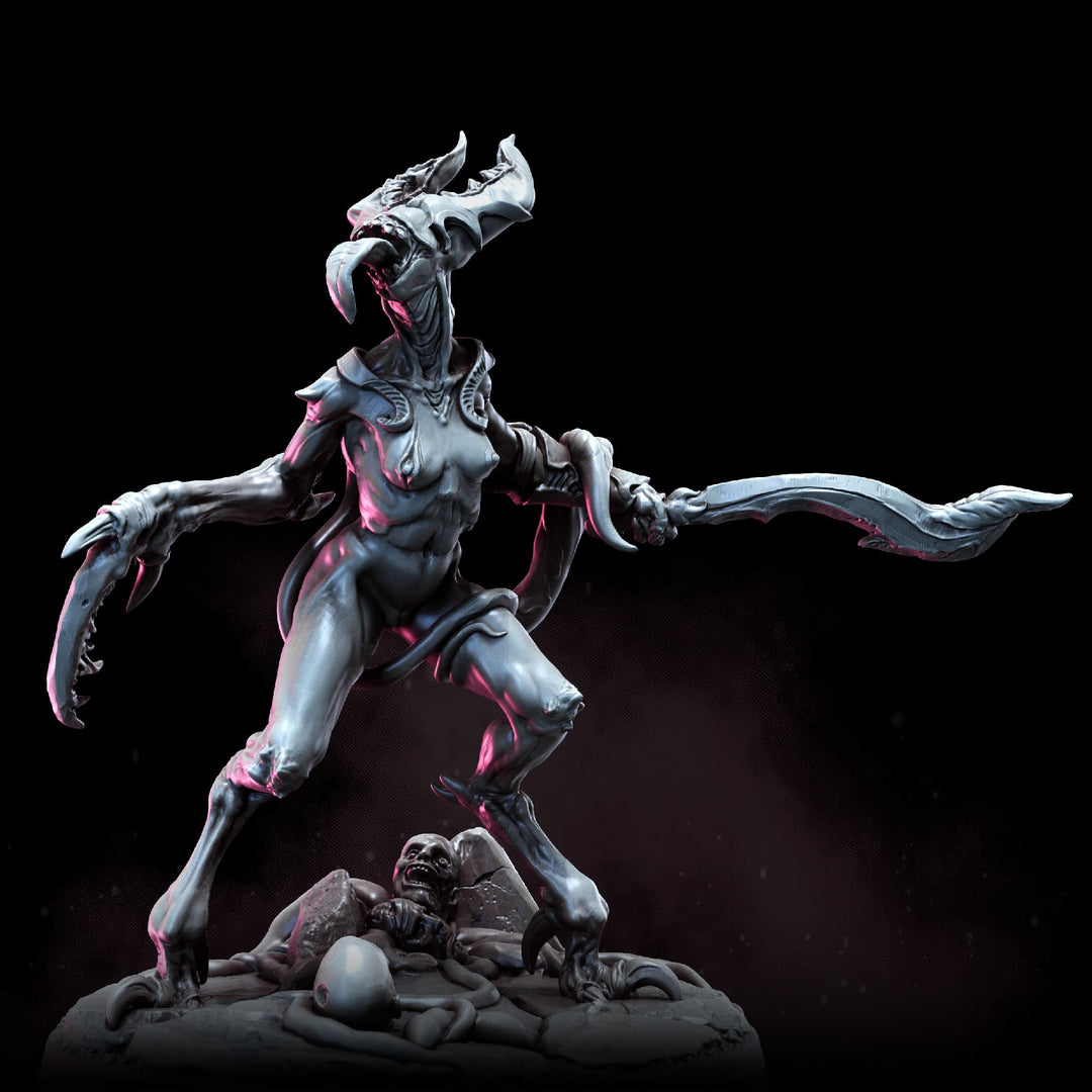 Demonettes | STL | Balazar&