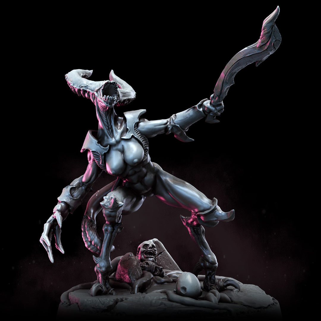 Demonettes | STL | Balazar&