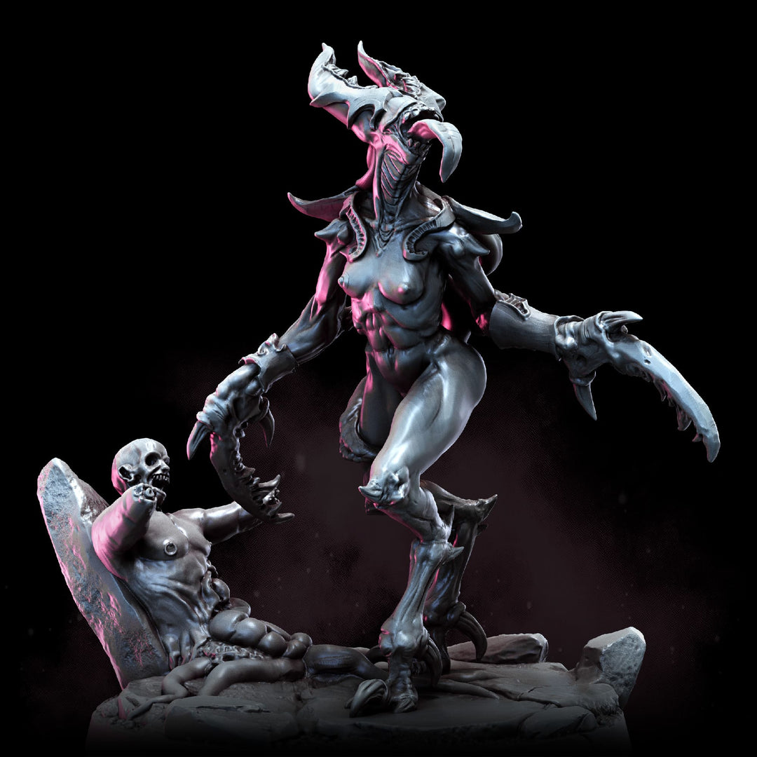 Demonettes | STL | Balazar&