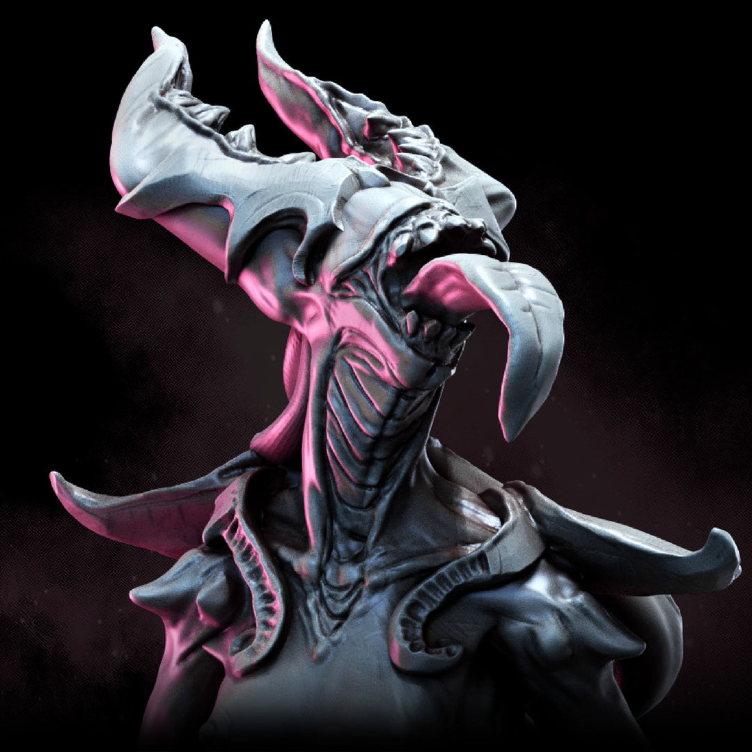 Demonettes | STL | Balazar&