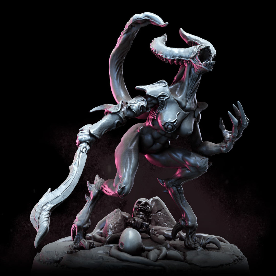 Demonettes | STL | Balazar&