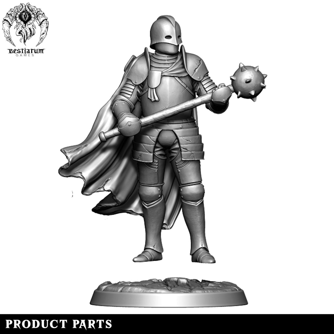Guard Captain | House Lionheart