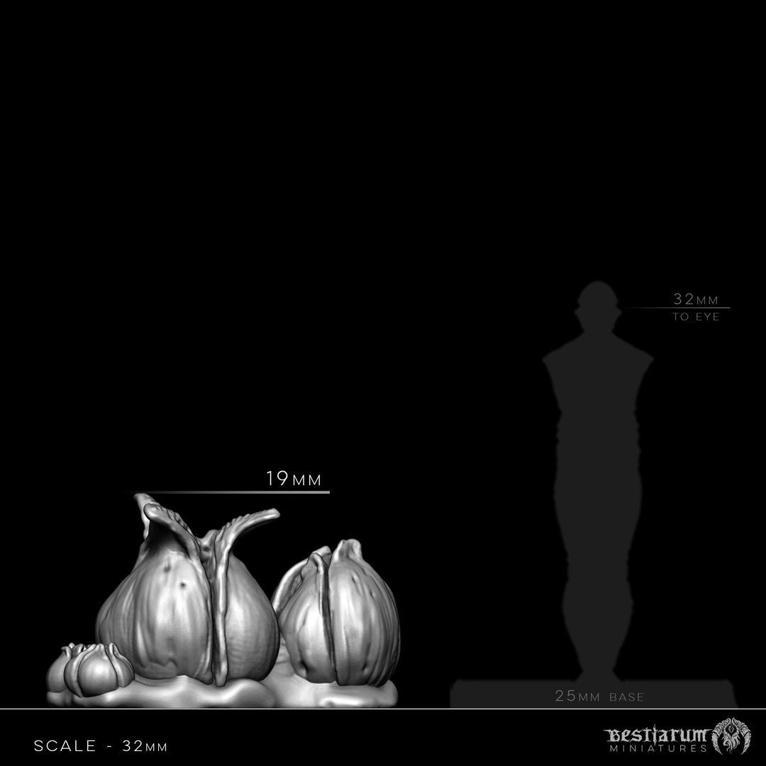 Acarid Eggs | Church of the Acarid