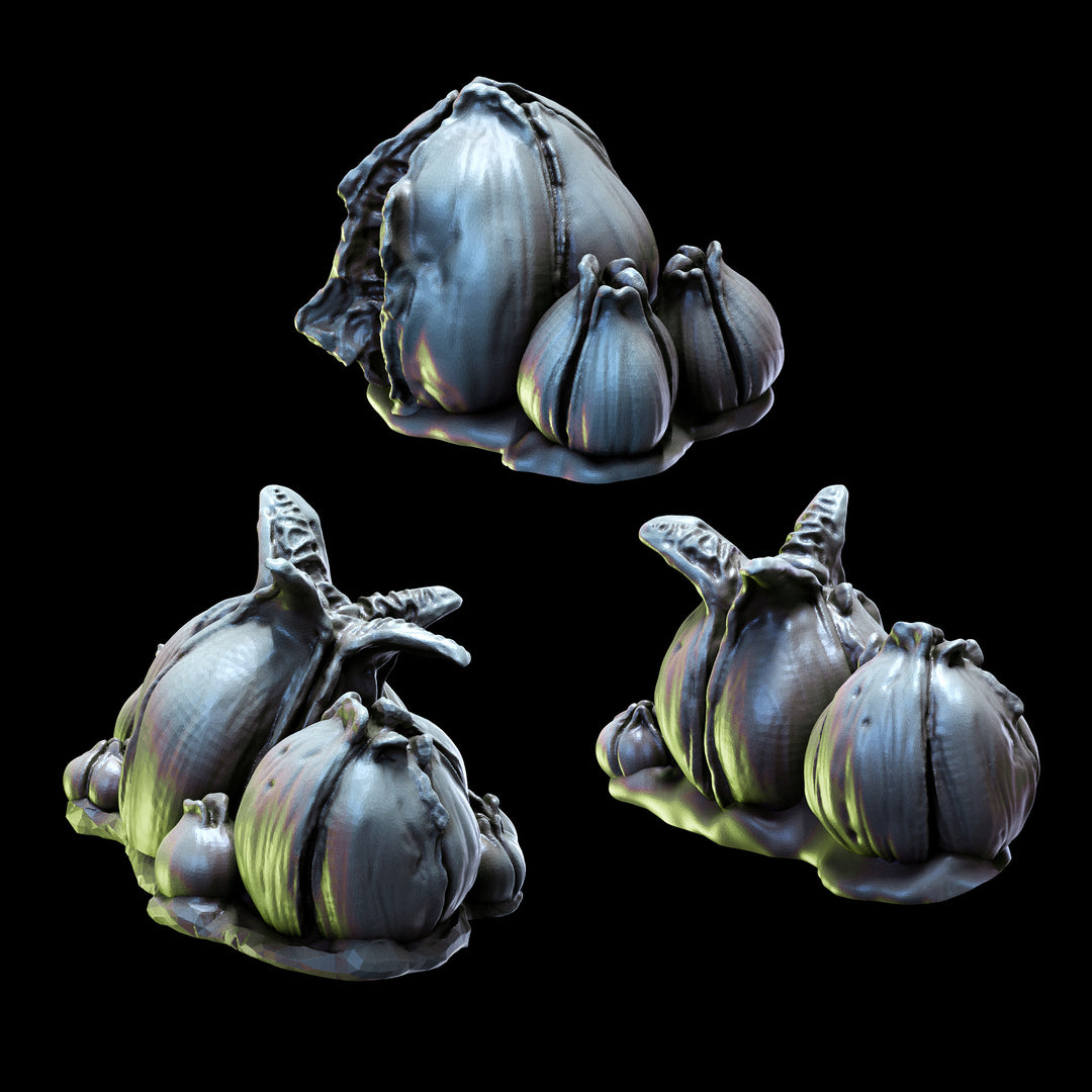 Acarid Eggs | Church of the Acarid