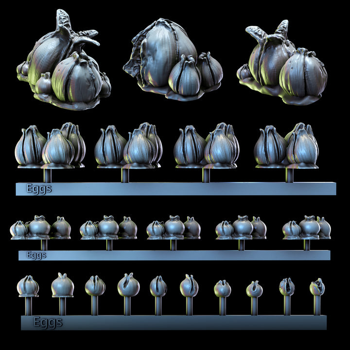 Acarid Eggs | Church of the Acarid