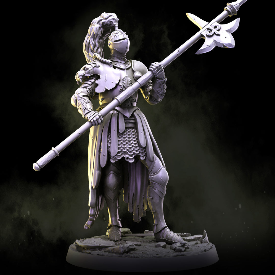 Lionheart Knights | STL | House Lionheart