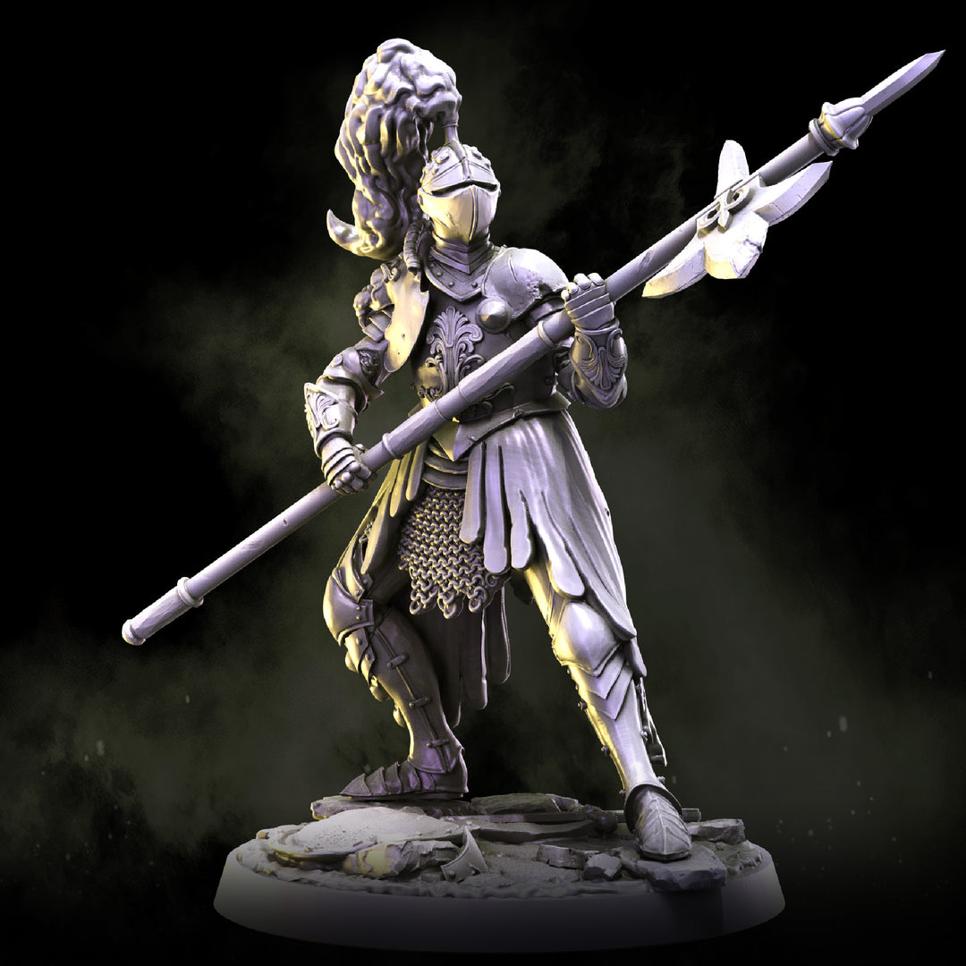 Lionheart Knights | STL | House Lionheart