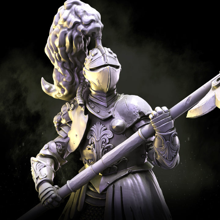 Lionheart Knights | STL | House Lionheart