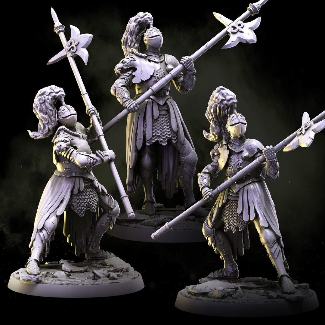 Lionheart Knights | STL | House Lionheart