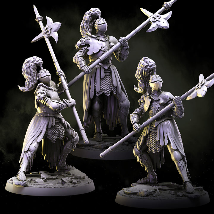 Lionheart Knights | STL | House Lionheart