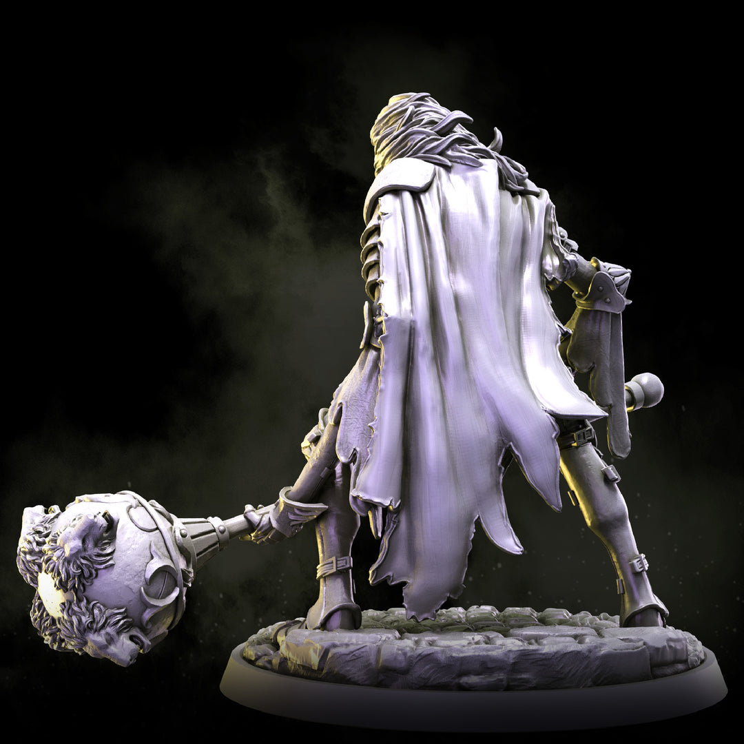 Lion Mask Knight | STL | House Lionheart