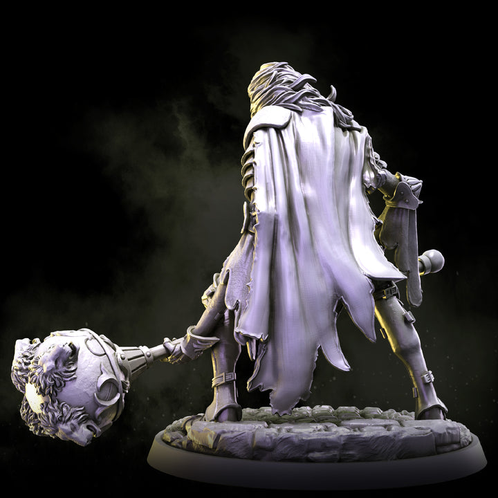 Lion Mask Knight | STL | House Lionheart