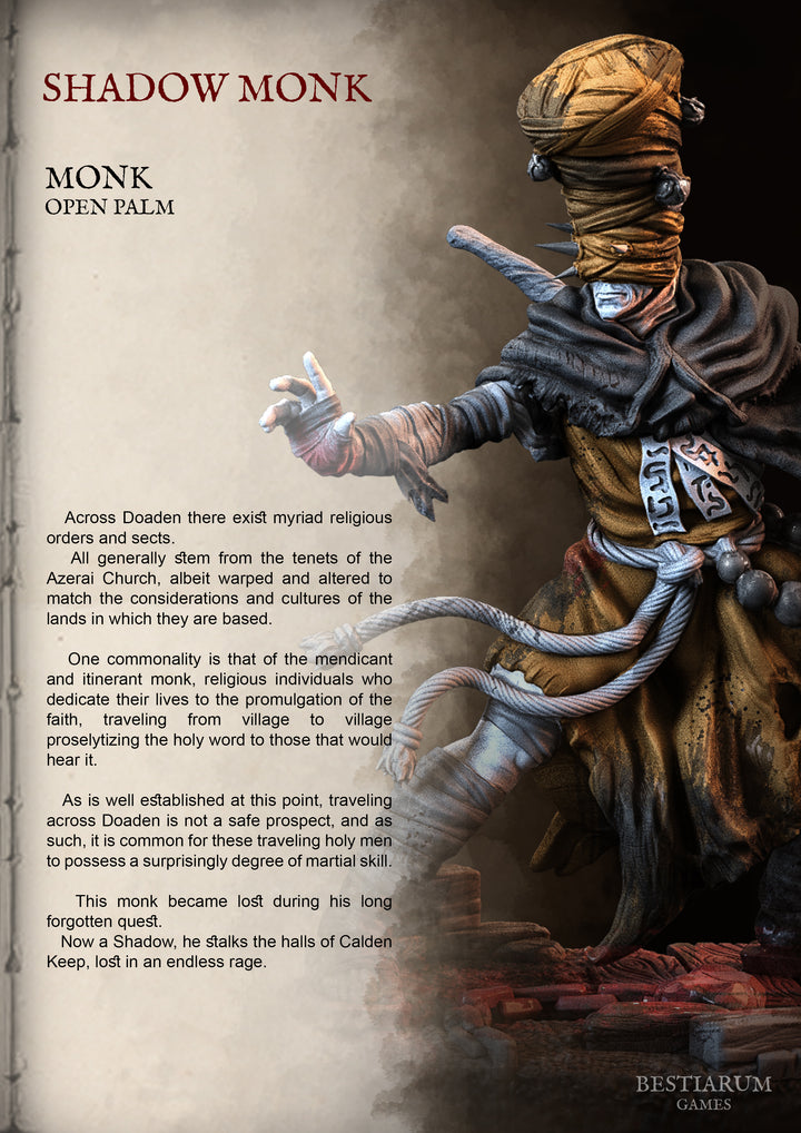 Shadow Monk | Lone Hero