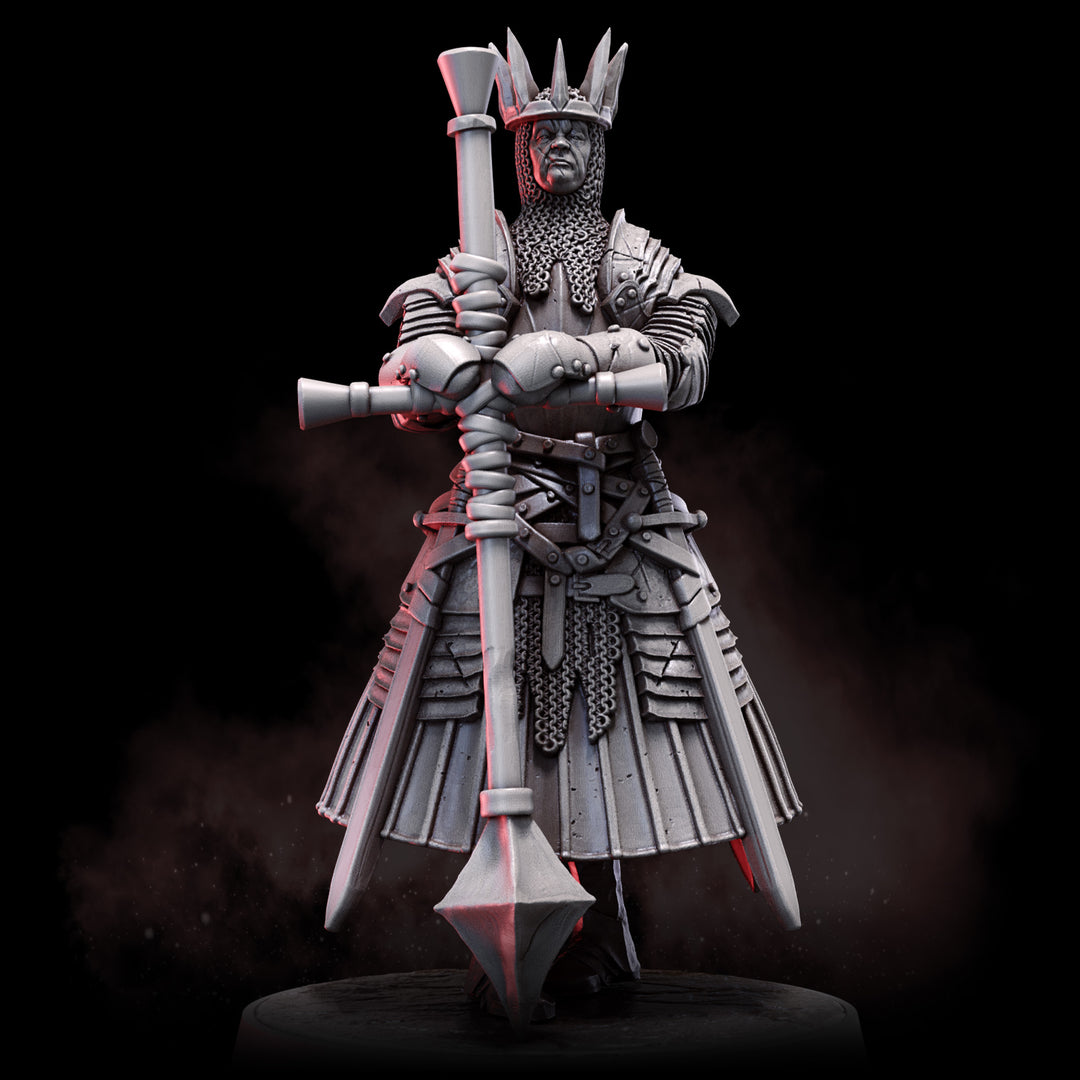 Steelveil | STL | House Lionheart