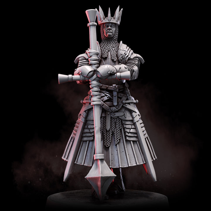 Steelveil | STL | House Lionheart