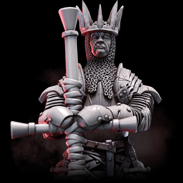 Steelveil | STL | House Lionheart