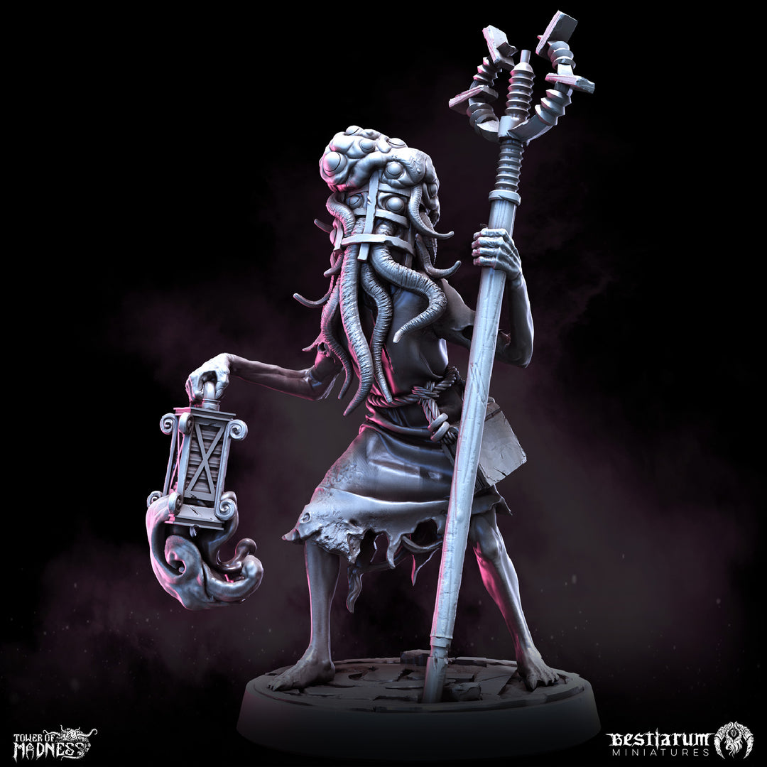 Arcane Attendants | Tower of Madness | Bestiarum | Miniatures D&amp;D Wargaming DnD