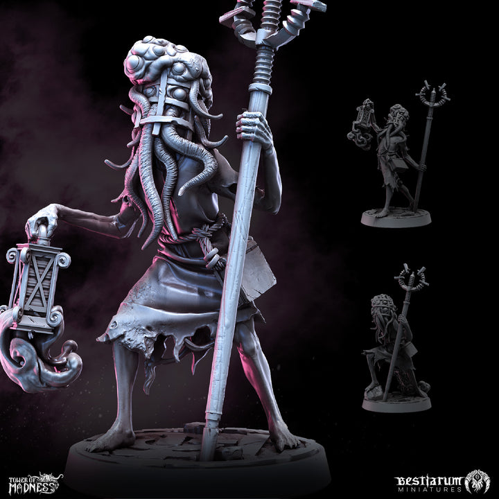 Arcane Attendants | Tower of Madness | Bestiarum | Miniatures D&amp;D Wargaming DnD