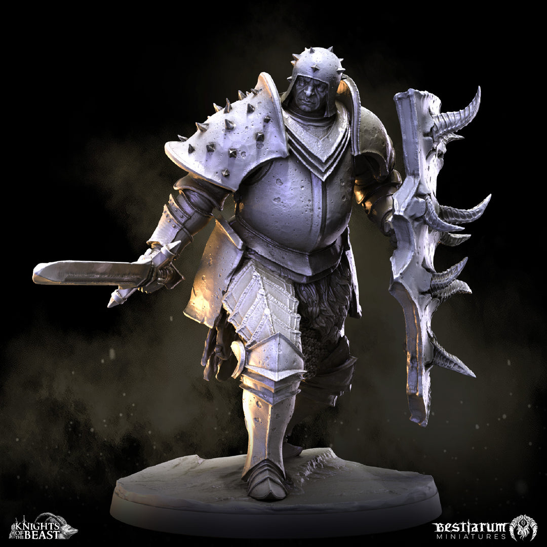 Chaos Knight Army Set | Knights of the Beast