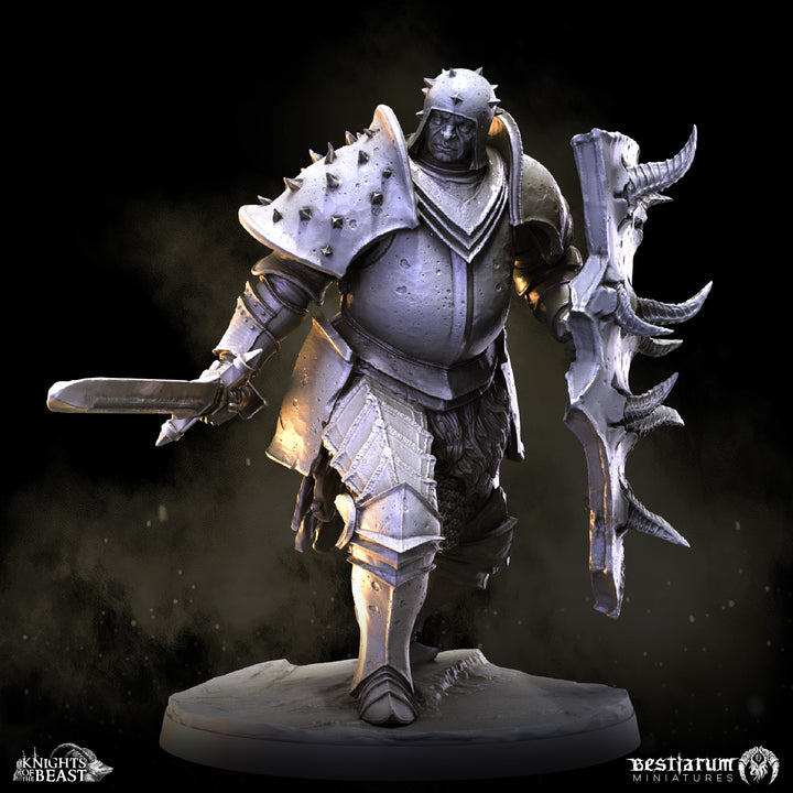 Chaos Knight Army Set | Knights of the Beast