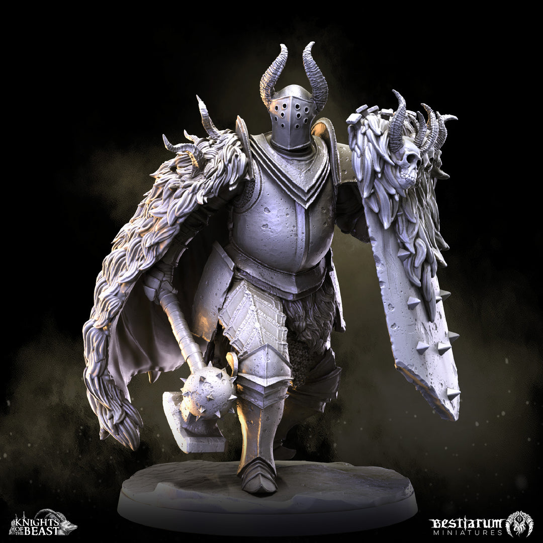 Chaos Knight Army Set | Knights of the Beast