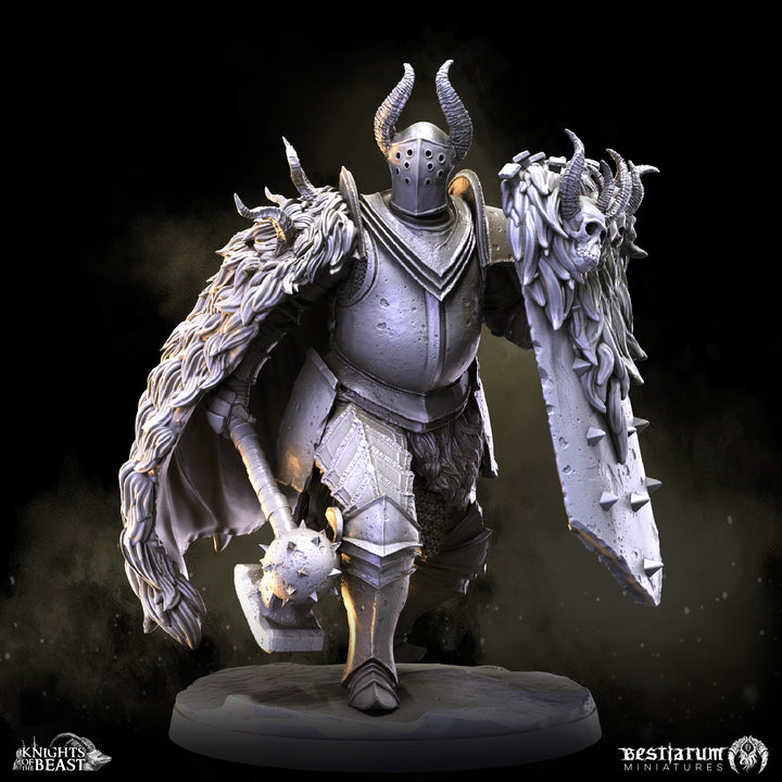 Chaos Knight Army Set | Knights of the Beast