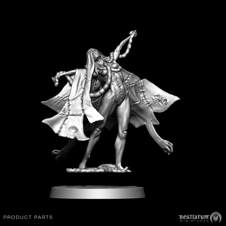 The Haruspex | The Anatomists