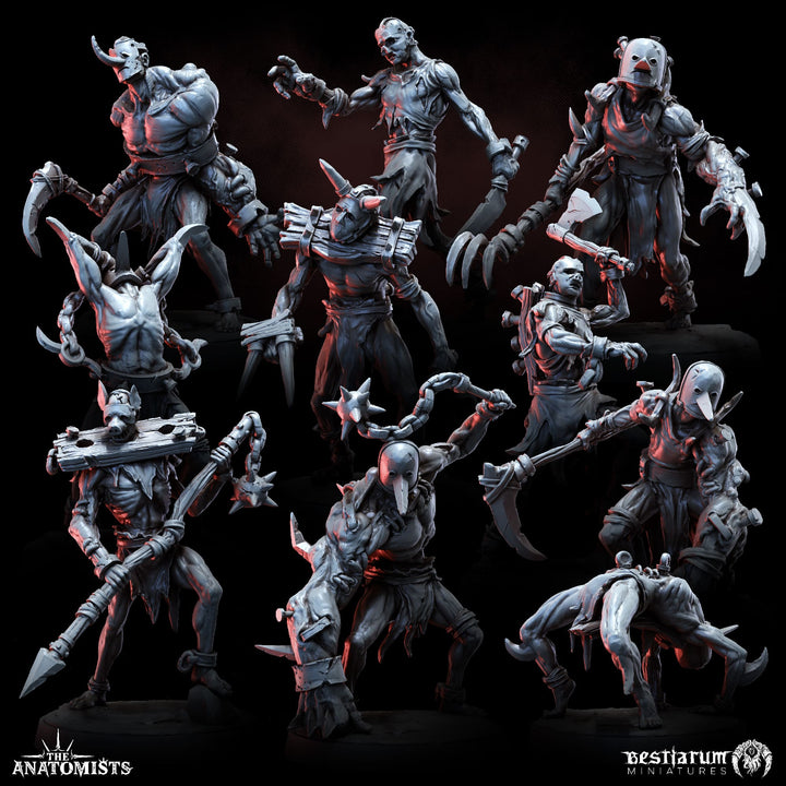 Gore Abominations Set | Anatomists