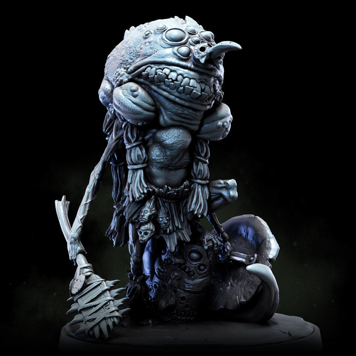 Anuran Warriors | The Lost Continent