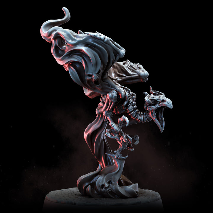 Necromancer Murde with Baleflame Familiar | STL | Lone Heroes