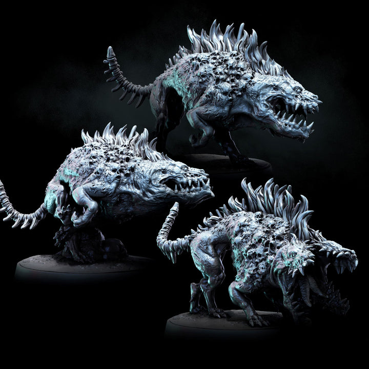 Grave Hounds | Graves of the Lost