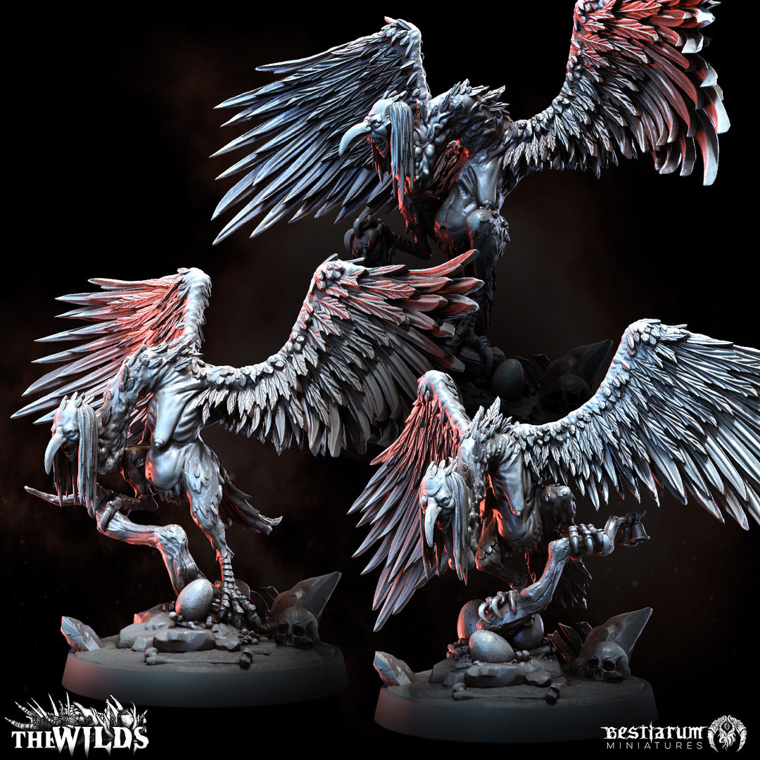 Twisted Harpy Flock Set | Wilds