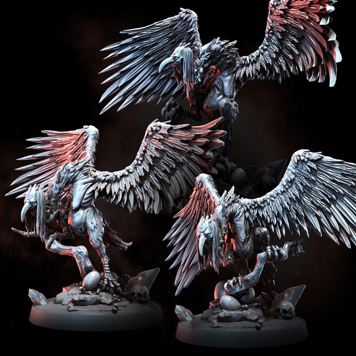 Harpies | The Wilds