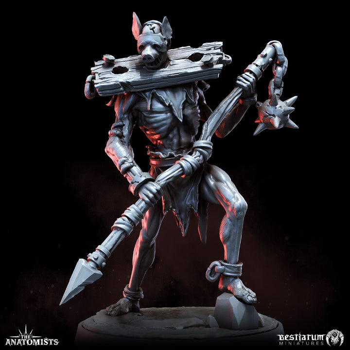 Gore Abominations Set | Anatomists