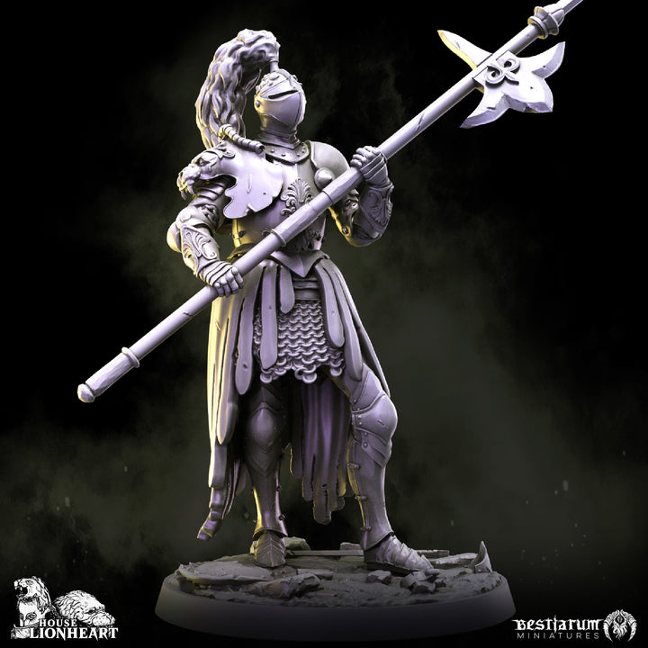 Lionheart Knights | House Lionheart | Bestiarum | Miniatures D&amp;D Wargaming DnD