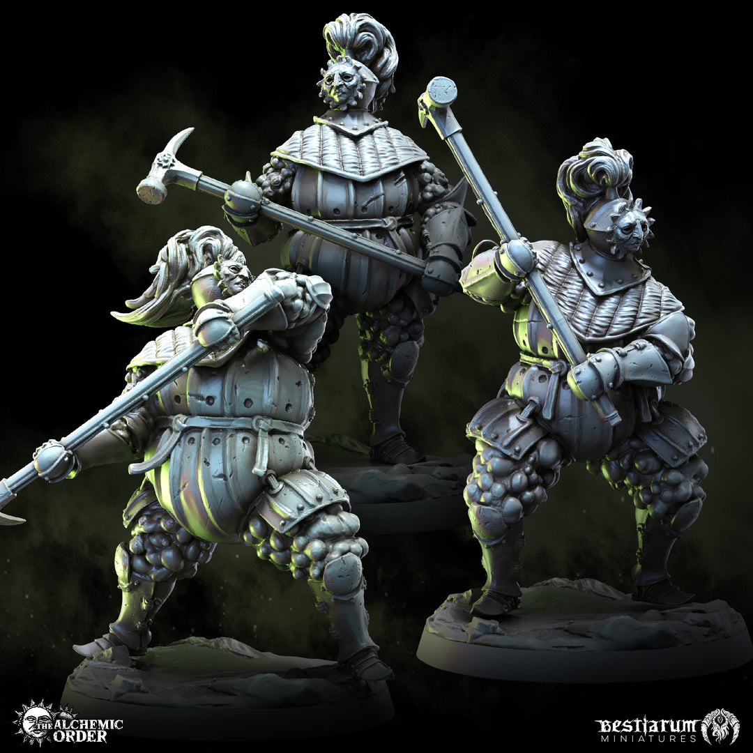 Alchemic Order Knights | The Alchemic Order | Bestiarum | Miniatures D&amp;D Wargaming DnD