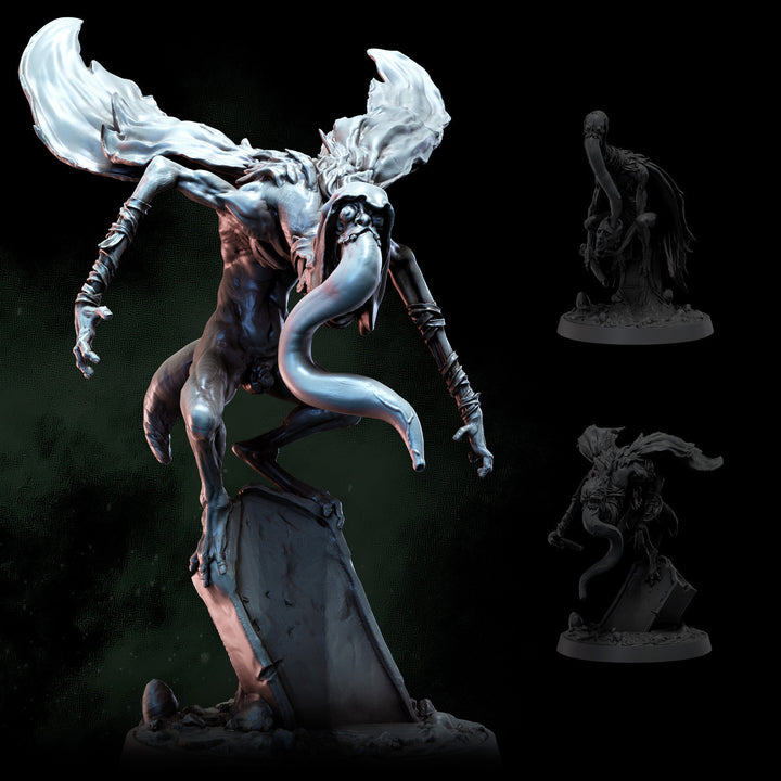 Moth Acolyte Metamorphs | STL | Cult of the Moth