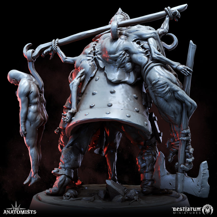 Torment Collective | The Anatomists