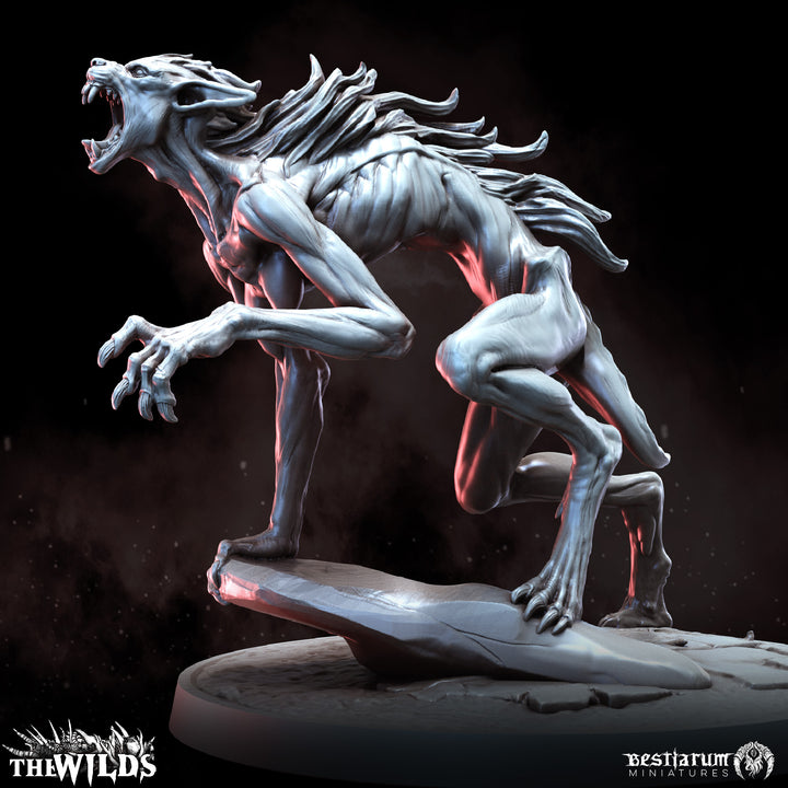 Feral Werewolves Set | Wilds