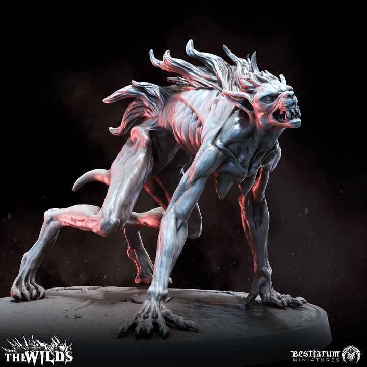 Werewolf Kin Pack | The Wilds | Bestiarum | Miniatures D&amp;D Wargaming DnD