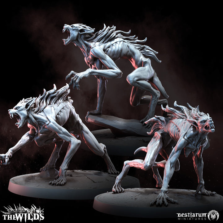 Werewolf Kin Pack | The Wilds | Bestiarum | Miniatures D&amp;D Wargaming DnD