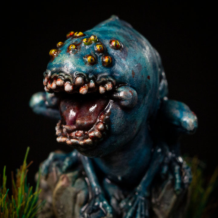 Anuran Tadpoles | The Lost Continent