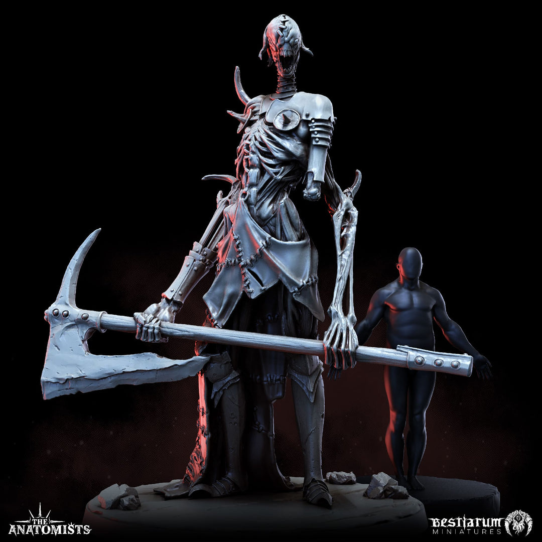 Gore Abominations Set | Anatomists