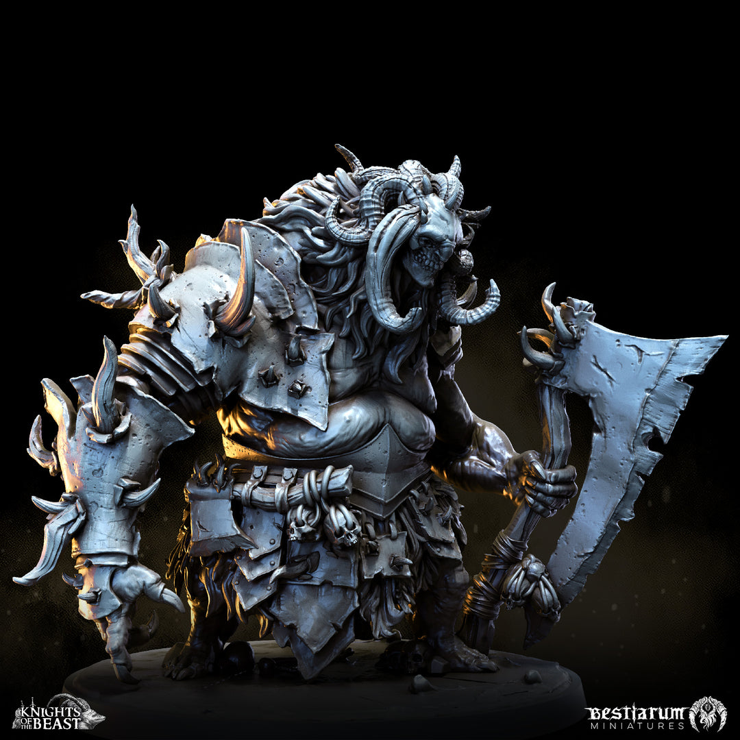 Chaos Knight Army Set | Knights of the Beast