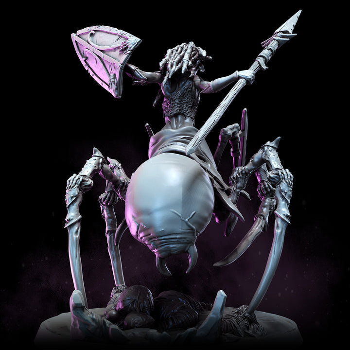 Dark Elf Arachnaeborne | The Remade