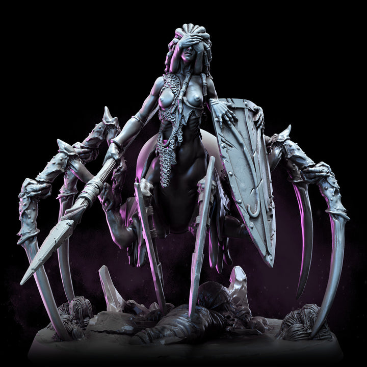 Dark Elf Arachnaeborne | The Remade