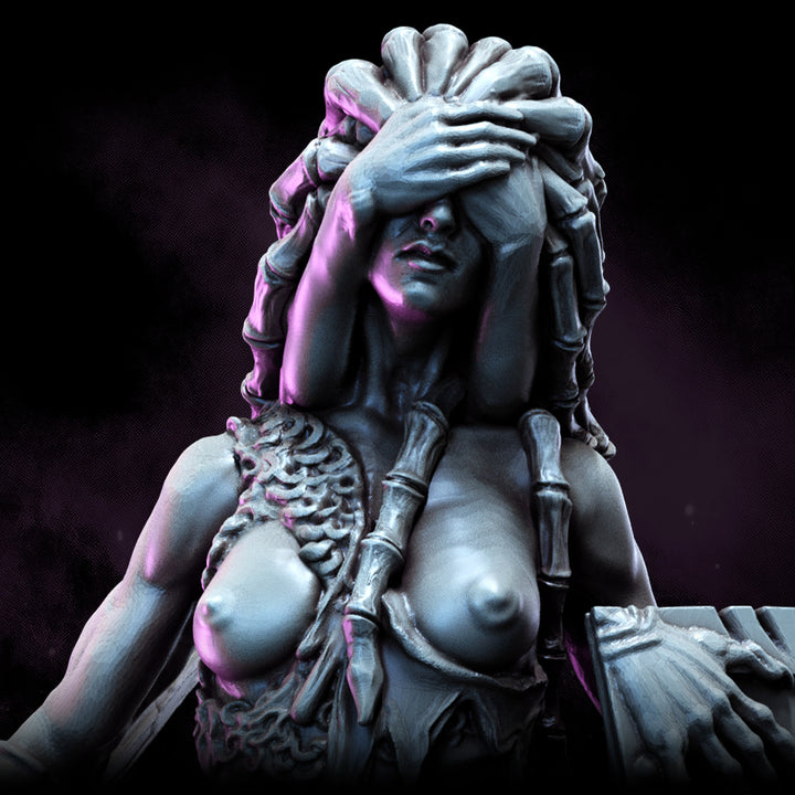 Dark Elf Arachnaeborne | STL | The Remade