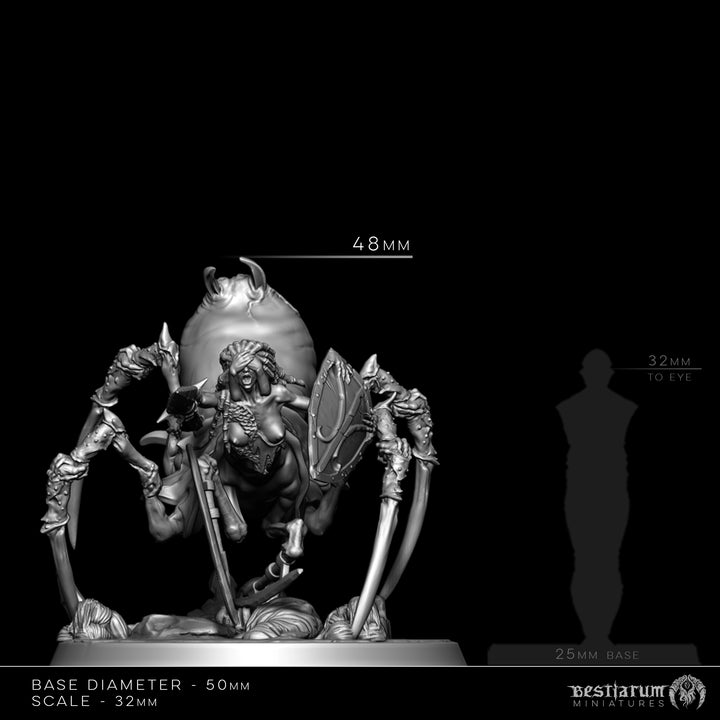 Dark Elf Arachnaeborne | STL | The Remade